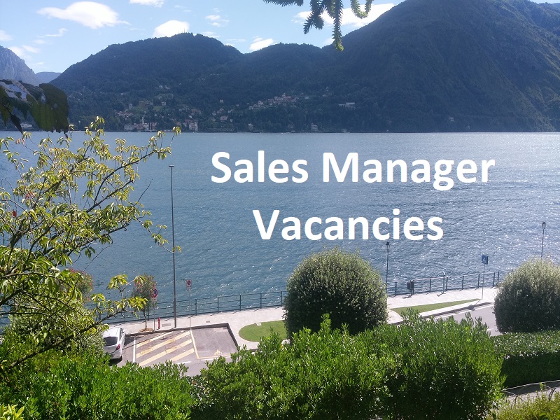 Sales Managers